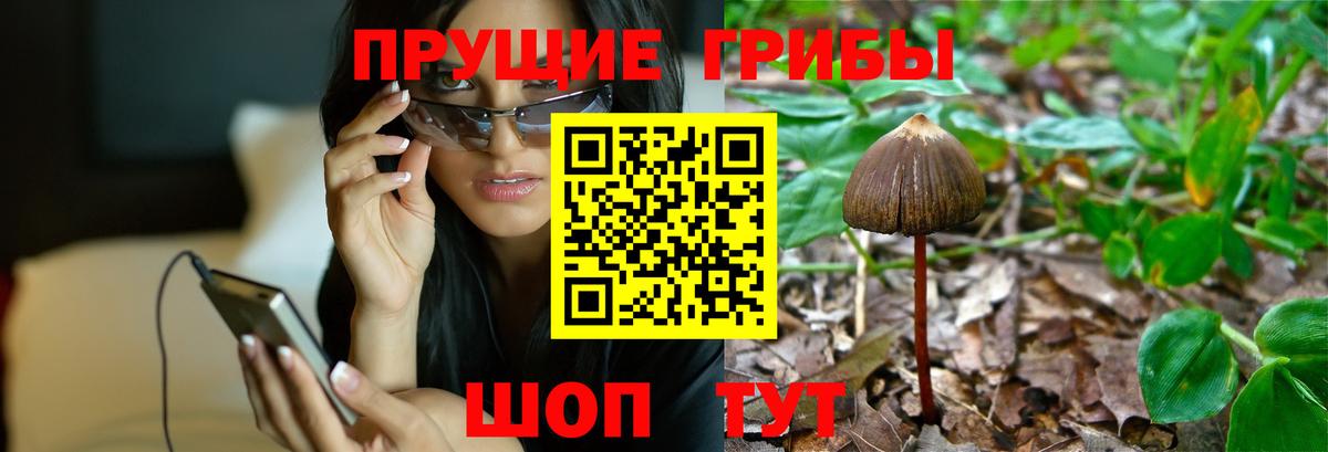 Гусиноозёрск  Псилоцибиновые грибы Magic Shrooms  Псилоцибиновые грибы прущие грибы  Вход с VPN 